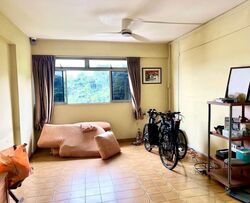 Blk 39 Telok Blangah Rise (Bukit Merah), HDB 5 Rooms #593944241